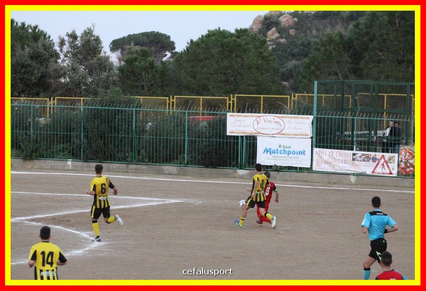 181111 Cepha_Milazzo 314_tn.JPG